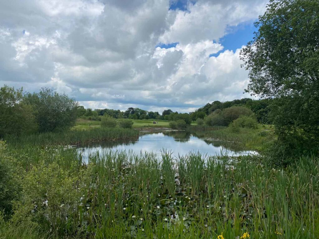 Manor House 6th Tee