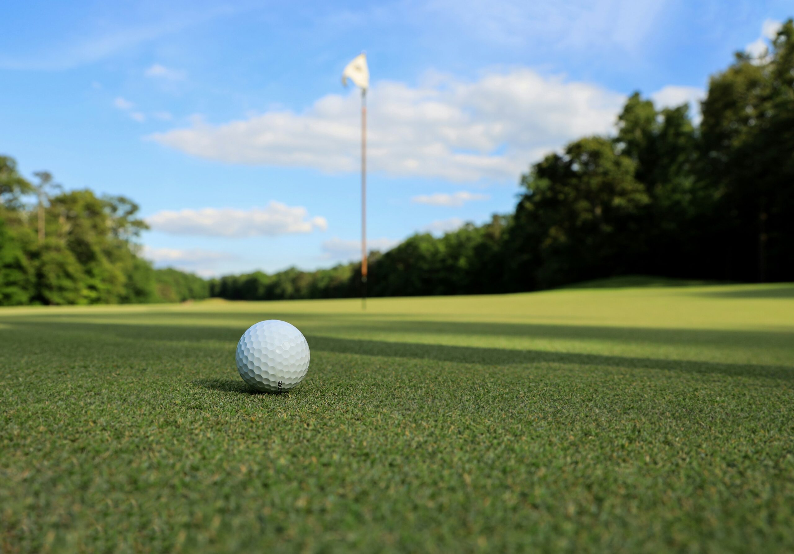 Golf ball on the ground