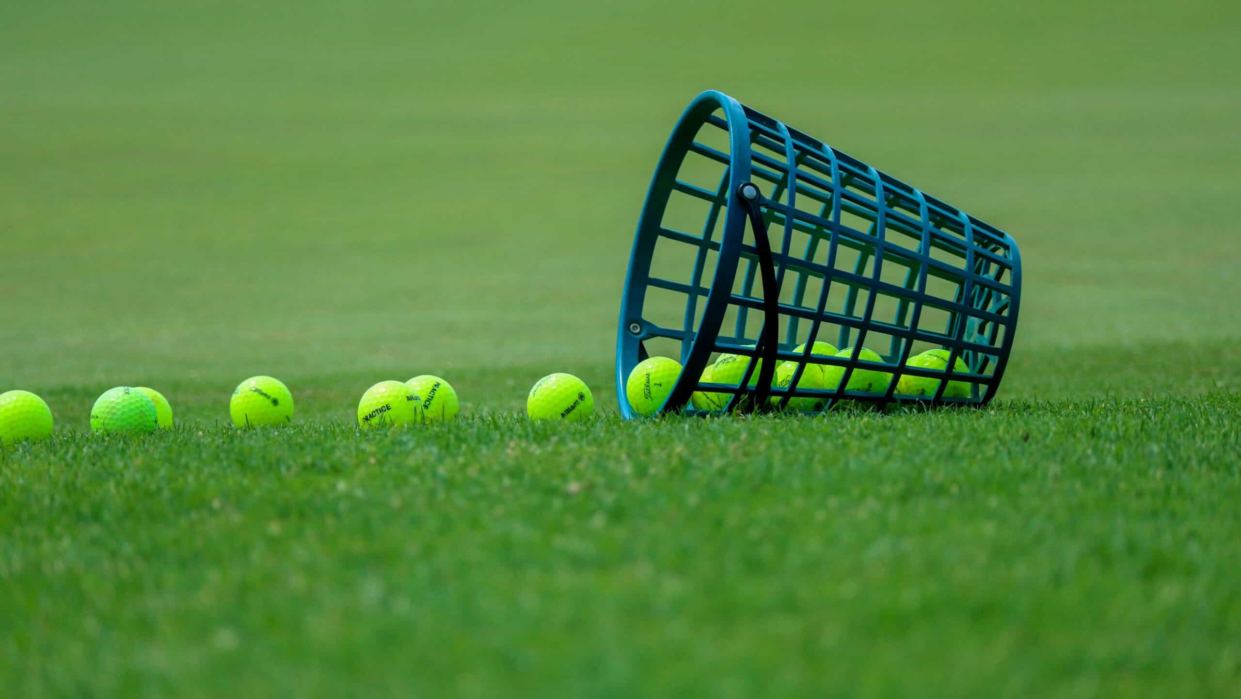 Golf balls in a practice basket