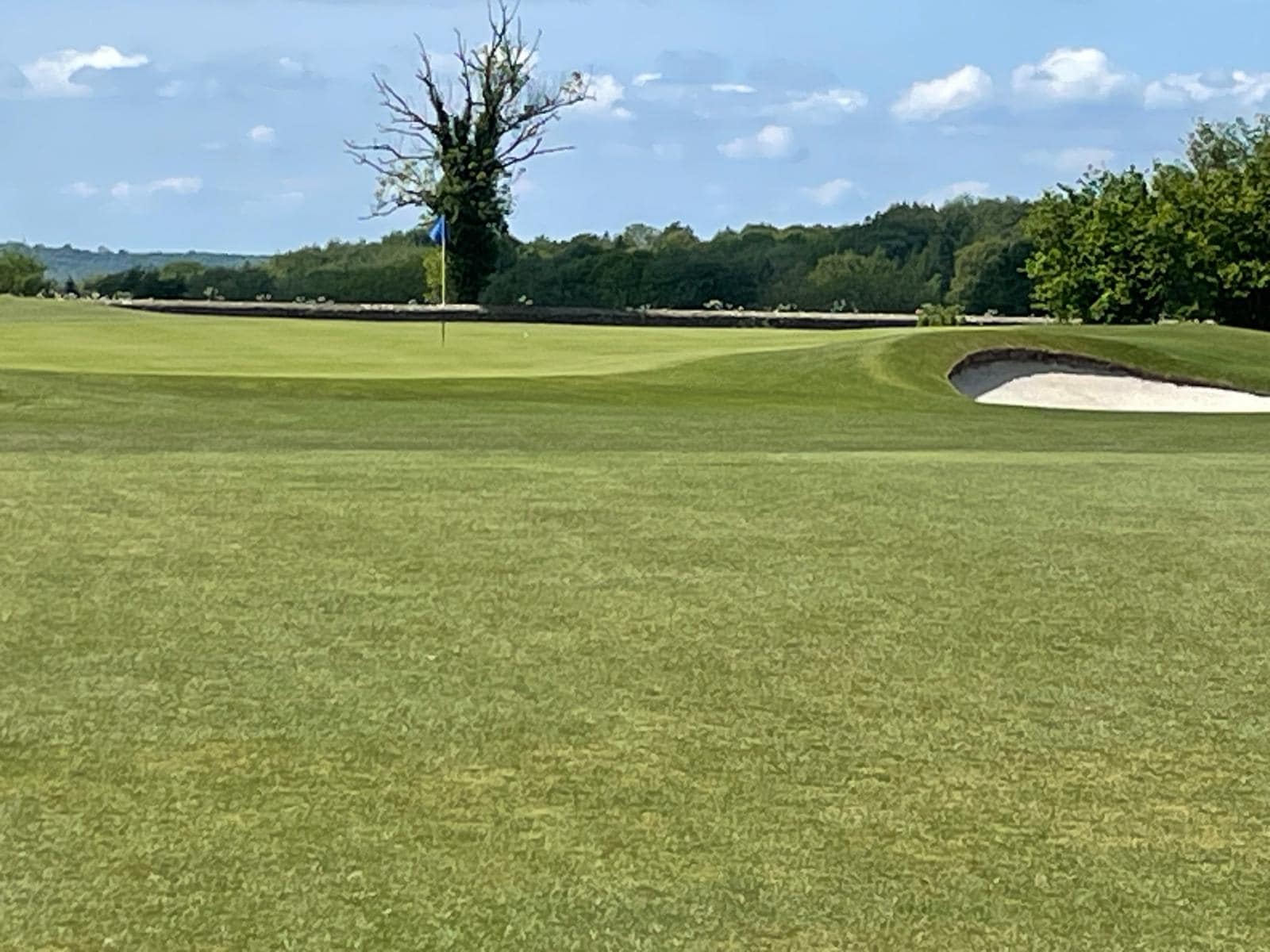 Golf ball on the 1st green of Minchinhampton's Cherington Course after Chris “Tyce” Tyson reached the par-5 hole in two shots, with the flag and greenside bunker visible. photo by Steve King